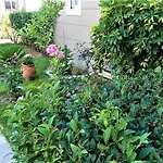 Maria's Rose Garden Lejlighed