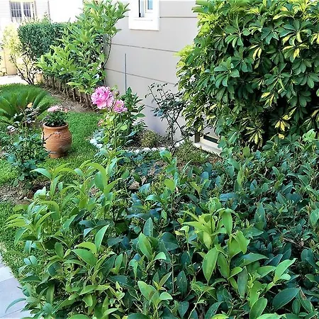 Maria's Rose Garden Διαμέρισμα